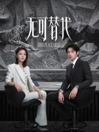无可替代电视剧免费观看全集在线高清